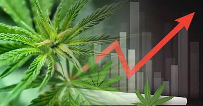 L'Impatto della Legalizzazione sulla Borsa