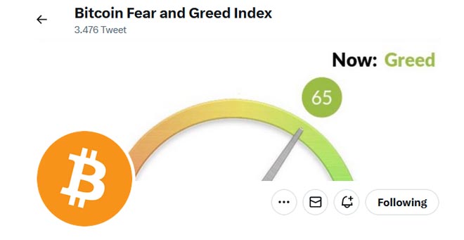 Bitcoin Fear and Greed index
