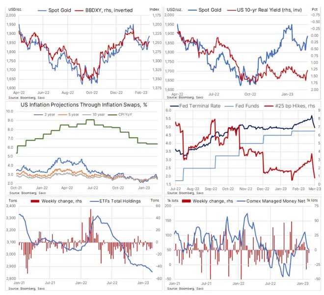 grafico oro e argento