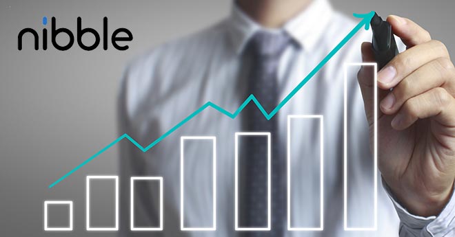 Strategie di investimento su Nibble Finance: quale scegliere?