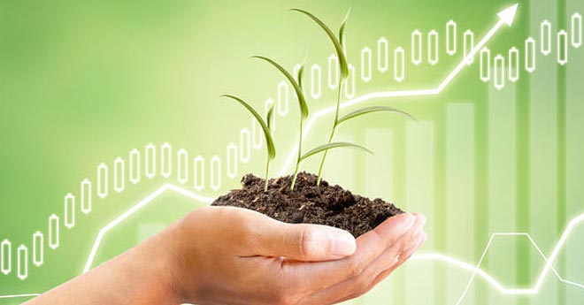 Come Investire Oggi i Primi 1.000 euro