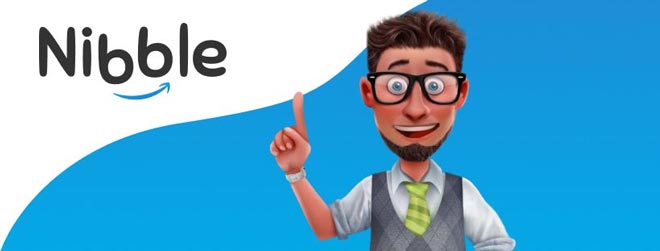 Cos'è Nibble Finance?