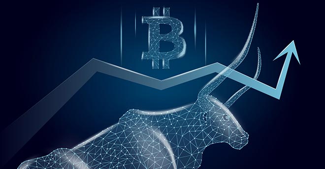 Bull Run delle Criptovalute