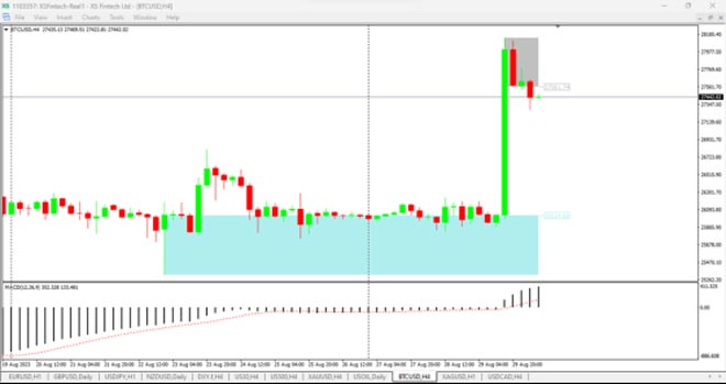 Grafico del prezzo di Bitcoin con evidenti picchi e valli, mostrando la recente impennata.