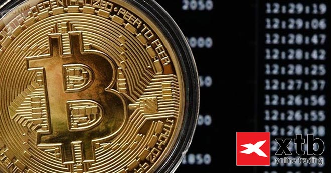 Halving e ETF Bitcoin: Sei Pronto per la Nuova Corsa al Rialzo nel 2024?