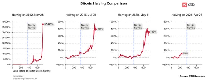 Andamento Bitcoin dopo gli halving