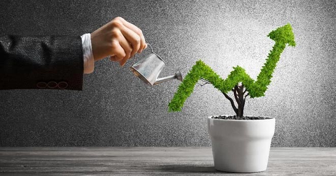 Le Migliori Banche Italiane per Investire: La Guida per Azionisti