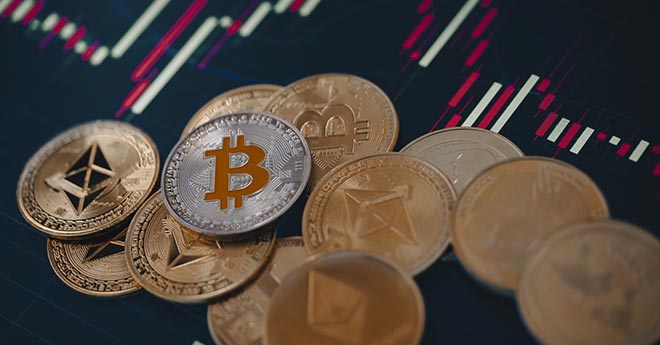 Fenomeno Shiba Inu ma il Bitcoin Rimane il Re delle Criptovalute