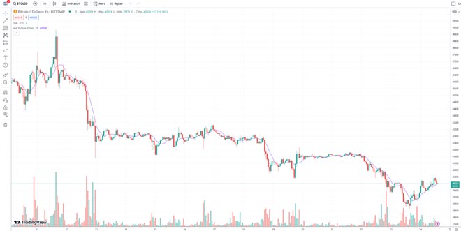 Grafico Bitcoin