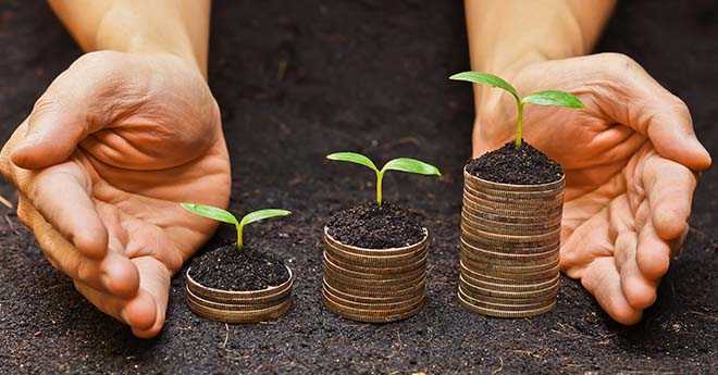 Investire nel 2024: Una Guida per la Libertà Finanziaria