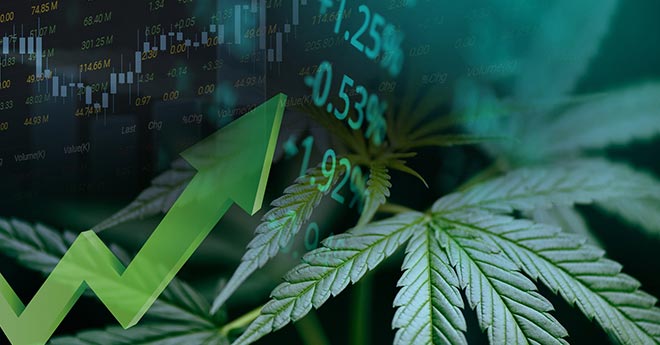 Germania Legalizza la Cannabis! Azioni Cannabis Schizzano (+78%)