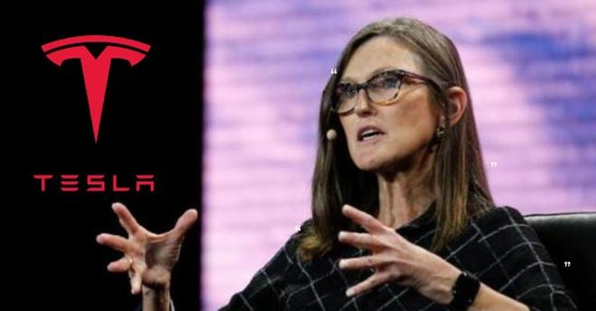 Azioni Tesla a 2600$: Cathie Wood Scommette sul Futuro dei Taxi Autonomi