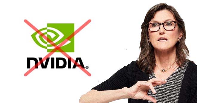 Lezioni da Trarre dall'Errore di Cathie Wood