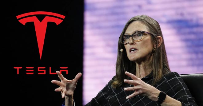 Tesla: Più di un Produttore di Veicoli Elettrici