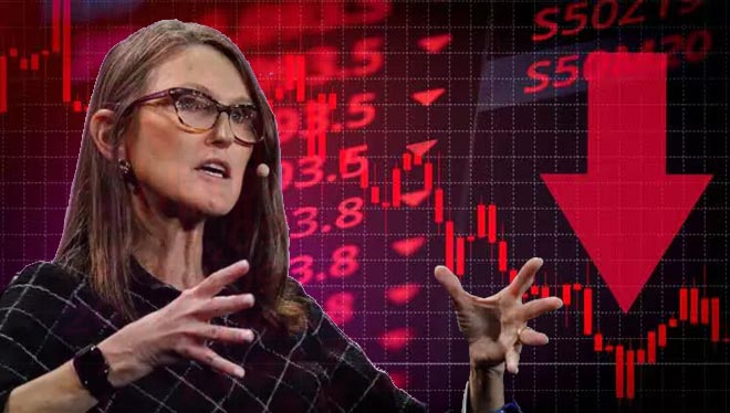 Investire nei Ribassi: Le Scelte di Cathie Wood per Massimizzare i Profitti