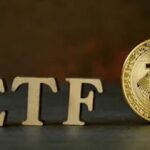Migliori ETF su Bitcoin: Quali Offrono il Rendimento Più Alto? Migliori ETF su Bitcoin: Quali Offrono il Rendimento Più Alto?