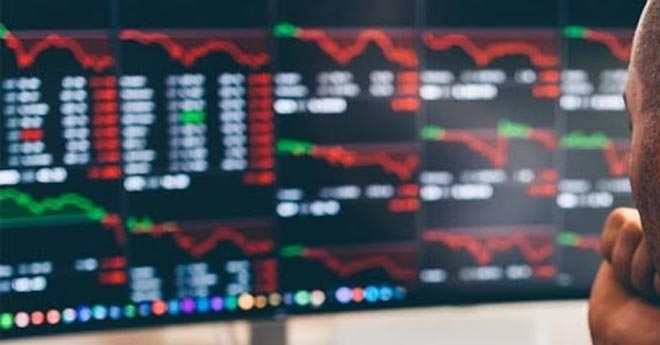 Cathie Wood Sfida il Crollo del Mercato e Acquista Azioni Sottovalutate