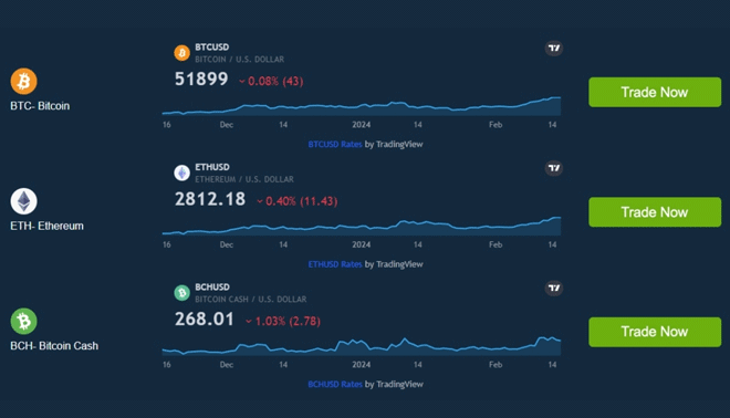 Netto Paytorn criptovalute